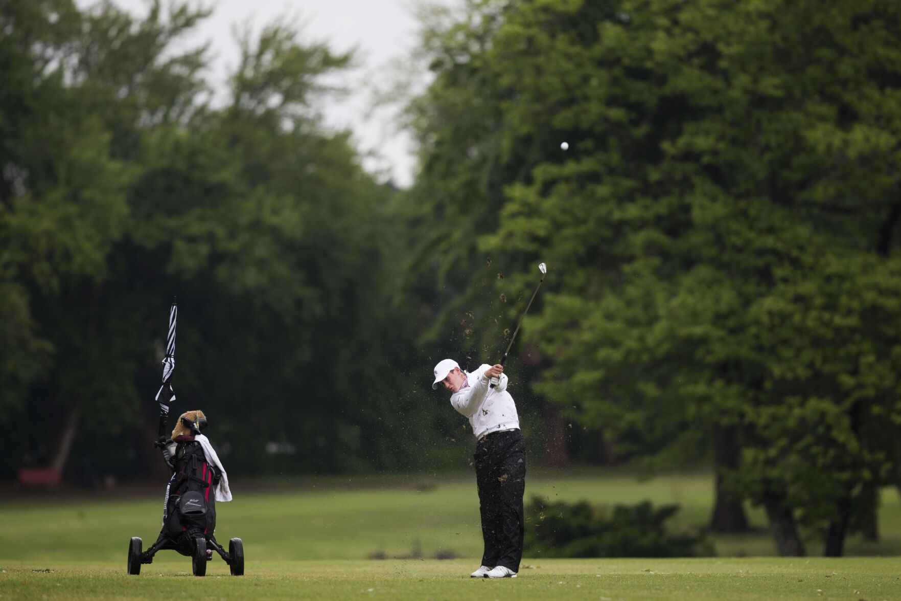 Boys State Golf Championships